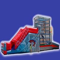 ChequeSpider-8